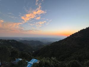 Vansathli I Near Mall Road Kasauli I Open Garden & Rooftop I by Humble stay villa