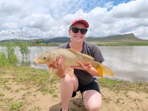 Imla Guest Farm Spitskop