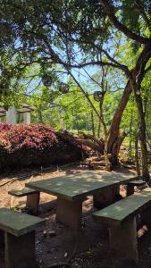 Descanso Del Mbocayaty