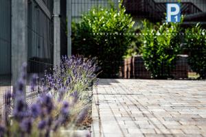 Pusszantalak Paloznak