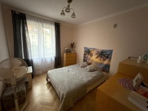 Mieszkanie w Centrum