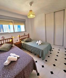 Apolo 5 - AzulenaCalpe