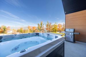 Spa and Mountain - Chalet OslO42