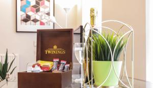 Tudors eSuites - Central One Bedroom Apartment #9J