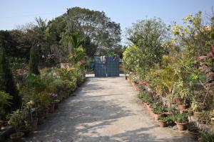 Muktadhara Eco Homestay