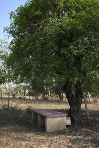 Muktadhara Eco Homestay