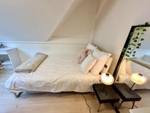 Large architect-designed house with rooftop