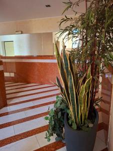 Cozy flat in Navigli