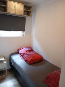 Chaletpark Kempenbos - 112