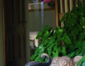 Villa Samithru, Wadduwa