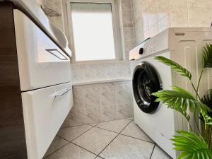 Living dream in Halle