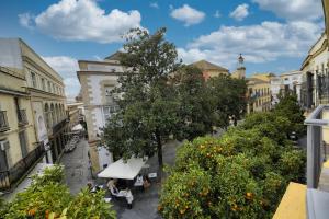 Apartamentos Consistorio Live