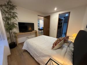 Executive Polanco Alberca Rooftop