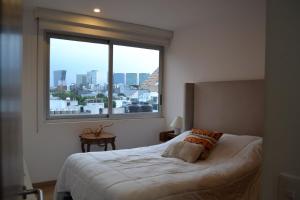 Executive Polanco Alberca Rooftop