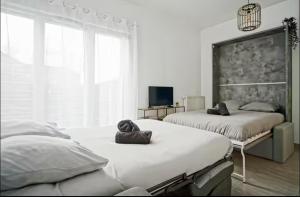 Studio Disney Cosy - Terrasse - 4 Pax