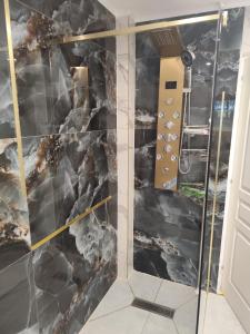 Appartement meublé Rixheim Alsace