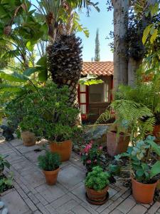 El Jardín de las Hadas