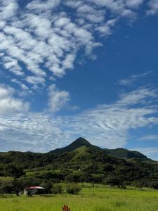 Rainforest Yasmin Hotel