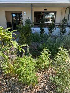 Charmant 2P à 5minutes de Cannes La Croisette