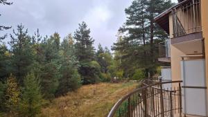 Margarita Mountain Apartments