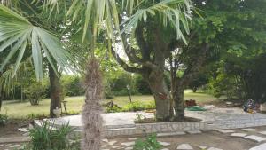 B&B / Chambres d'hotes Le Domaine de Canesse : photos des chambres