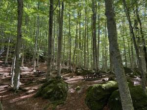 Vintage cottage-style cottage near the park
