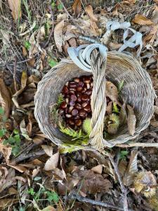 Vintage cottage-style cottage near the park