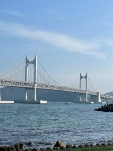 # Open Special # Gwangan Bridge Centum City # Wine 1 Bottle Gift # Cleanliness # Family Friend Trip # Dog Accompaniment # Photo # 12 Minutes on Foot