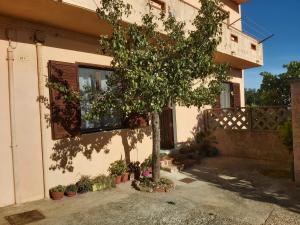 Hortensia Home img50