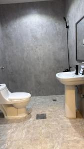 Elegant studio in the city center Olaya