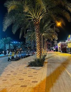 Elegant studio in the city center Olaya