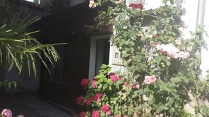 Apartment Saric 