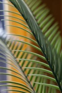 Chic Apartments - Cozy and Stylish - City Center - JP33