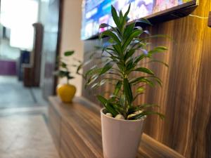 Comfort Stay near CyberHub - 300 Mbps WiFi - 1BHK