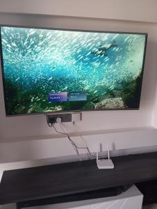 1BR apartment next to the Junction Mall, Lavington