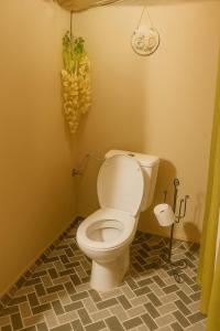 Luxury camp excurions