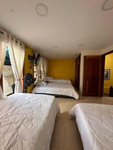 Quimbaya Private House