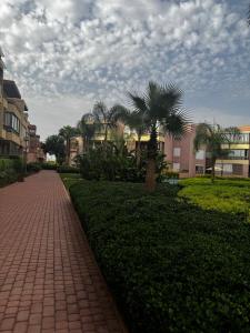 Garden level & pool, cozy apartment queen size bed