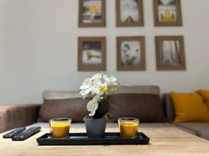 Glio Luxury Apartment