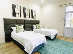 Illi Boutique Guest House