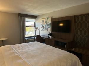 Holiday Inn Roanoke-Tanglewood-Rt 419&I581 by IHG