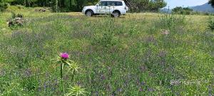 Alojamientos El Risquillo II
