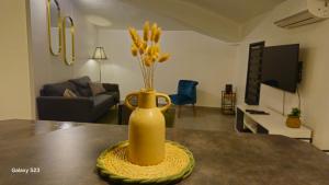 Charmant T2 centre Montélimar