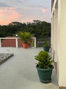 The Disco at Casa De La Libertad