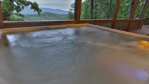 Moose Mountain Lodge - Ellijay, GA