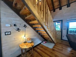 Moose Mountain Lodge - Ellijay, GA