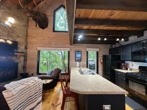 Moose Mountain Lodge - Ellijay, GA