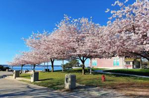 Cozy Bedroom Near Beach, Stanley Park, Cypress Mountain, Downtown Vancouver