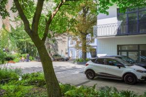 Duo Tones, art & nature, parking