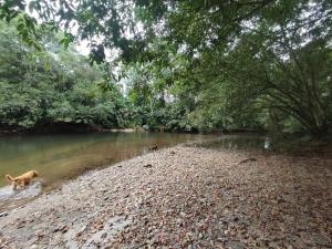 Casa de Campo Riverside